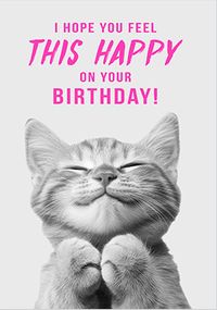 Tap to view Hope You Feel This Happy On Your Birthday Cat Card