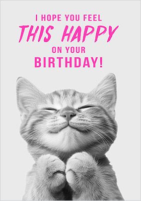 Photo of Hope You Feel This Happy On Your Birthday Cat Card
