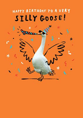 Photo of Silly Goose Happy Birthday Card