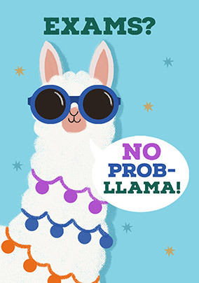 No Probllama Exam Good Luck Card