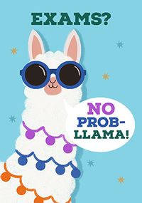 Tap to view No Probllama Exam Good Luck Card