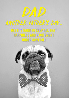 Another Father's Day Dad Card
