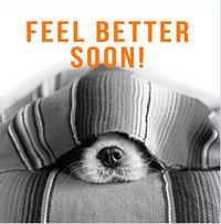 Tap to view Photographic Dog Black and White Get Well Soon Card