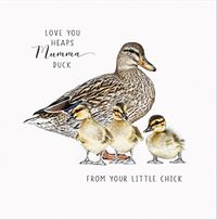 Tap to view Life In Pencil Mama Duck Square Mother's Day Card