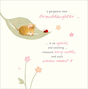Watercolour Bunny Gorgeous Granddaughter New Baby Card