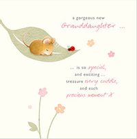 Tap to view Watercolour Bunny Gorgeous Granddaughter New Baby Card