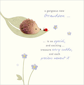Watercolour Bunny Gorgeous Grandson New Baby Card