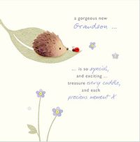 Tap to view Watercolour Bunny Gorgeous Grandson New Baby Card