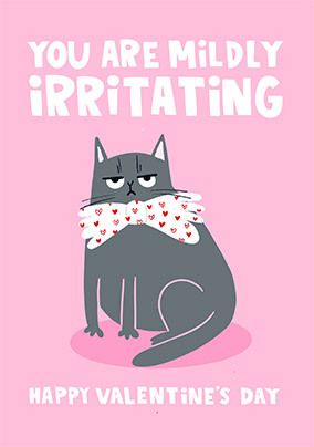 Photo of You Are Mildly Irritating Valentine's Day Card