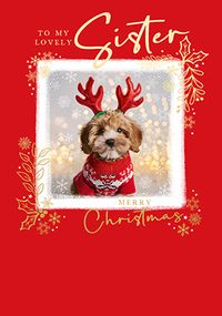Tap to view Lovely Sister at Christmastime Photographic Dog Card