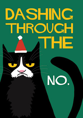 Grumpy Cat Dashing Through The No Christmas Card