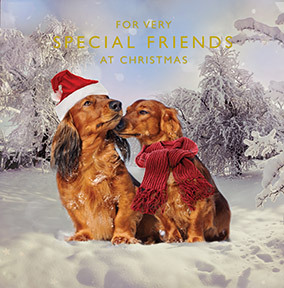Special Friends Dachshund Square Christmas Card