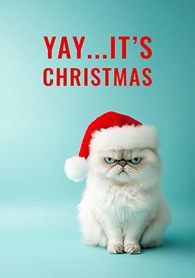 Grumpy Christmas Cat Yay it's Christmas Card