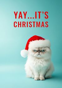 Tap to view Grumpy Christmas Cat Yay it's Christmas Card