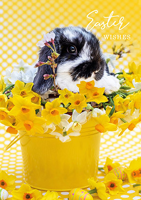 Easter Bunny Card