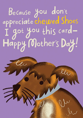 ZDISC 07/23 OUT OF LICENCE - Chewed Shoes Mother's Day Card