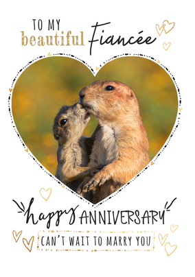 Beautiful Fiancée Anniversary Card