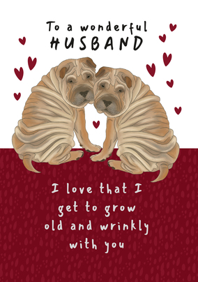 Wonderful Husband Anniversary Card
