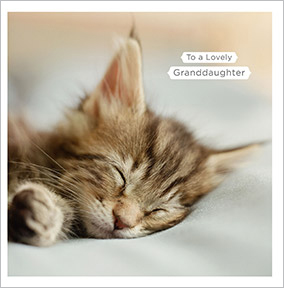 Sleeping Kitten Granddaughter Birthday Card
