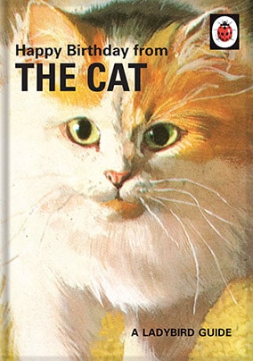 From the Cat - Ladybird Card