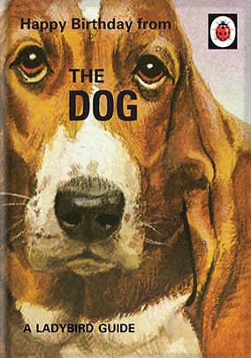 From the Dog - Ladybird Card