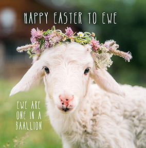 Happy Easter to Ewe Card