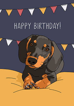 Dog Birthday Card