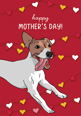 Jack Russell Mother's Day Cards