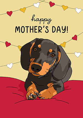 Dachshund Mother's Day Card