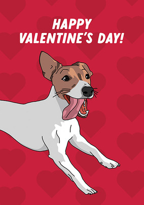 Jack Russell Valentine's Day Cards