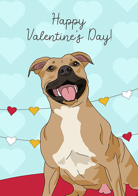 Bull Terrier Valentine's Day Card