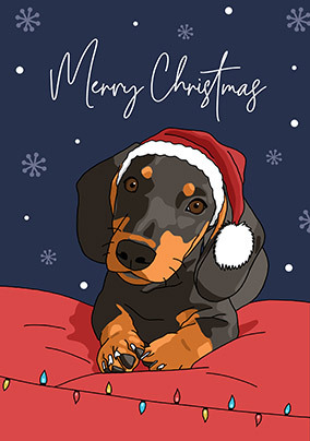 Dachshund Christmas Card