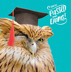 Wise Owl Exam Congratulations Card