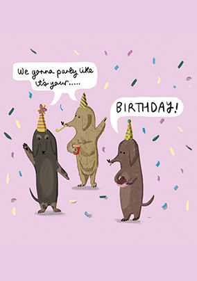 Three dogs Birthday Card
