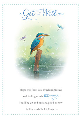 Kingfisher Get Well Soon Card