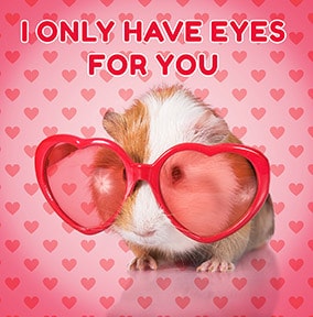 Eyes For You Guinea Pig Valentine's Day Card