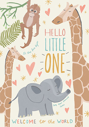 Hello Little One New Baby Card