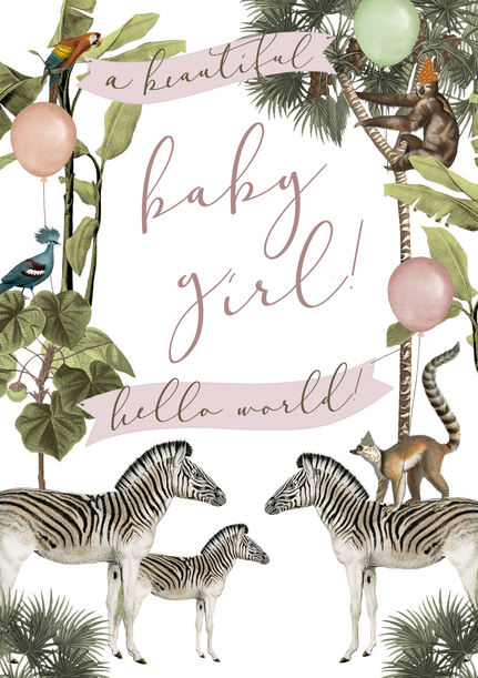 Zebras Baby Girl Announcement Card