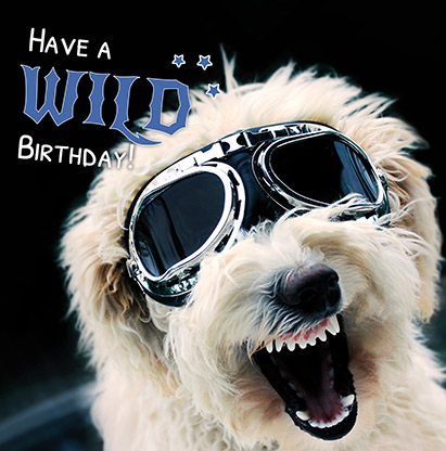 Have A Wild Birthday Card