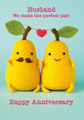 Husband Perfect Pair Anniversary Card