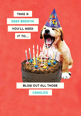 Blow out the Candles Birthday Card