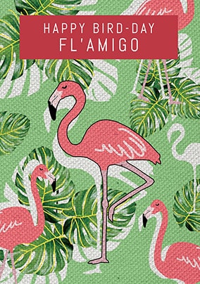 Flamingo Amigo Birthday Card