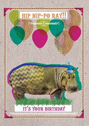 Hip Hippo Ray Birthday