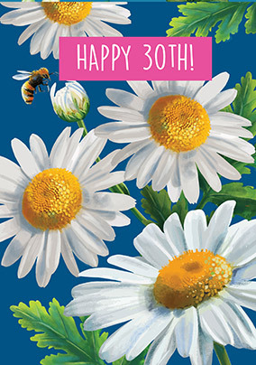 30th Birthday Daisies Card