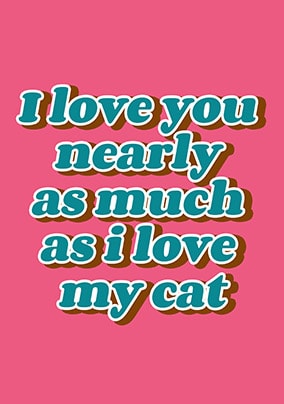 I Love My Cat Valentines Card