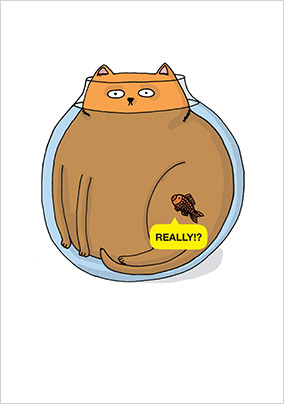 Cat In Fish Bowl Card