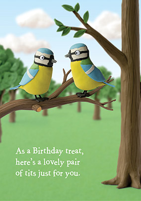 Pair of Tits Birthday Card