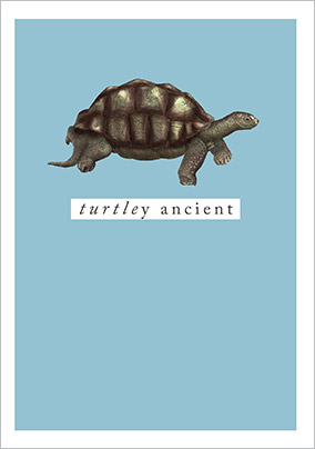 Turtley Ancient Birthday Card