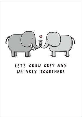Grow Grey and Wrinkly Together Valentine's Card