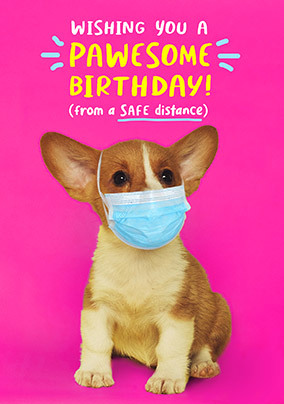 Dog In Mask Pawesome Birthday Card